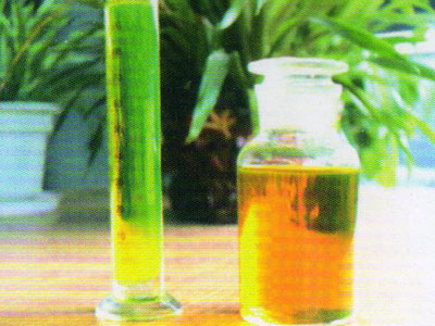 YL-M-2(C)͸��ĥ��Һ